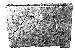Ossuary (rear panel, inscription): Maryah